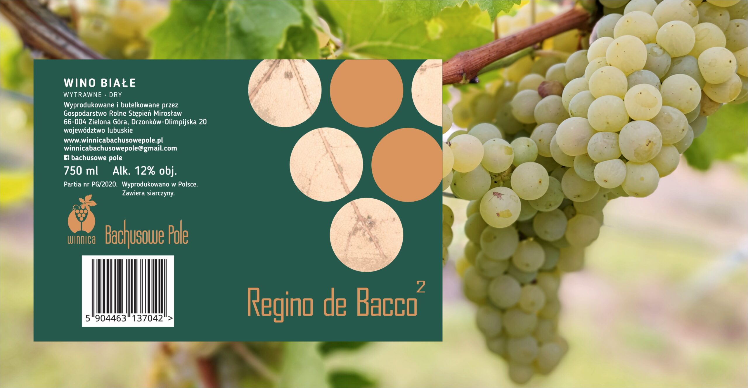 REGINO DE BACCO 2